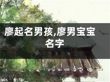 廖起名男孩,廖男宝宝名字