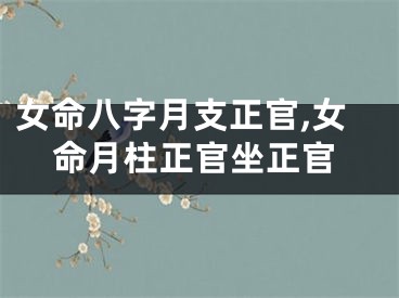 女命八字月支正官,女命月柱正官坐正官