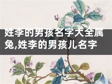 姓李的男孩名字大全属兔,姓李的男孩儿名字