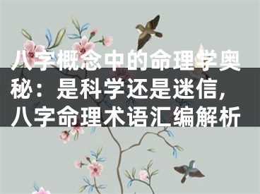 八字概念中的命理学奥秘：是科学还是迷信,八字命理术语汇编解析