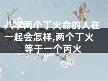 八字两个丁火命的人在一起会怎样,两个丁火等于一个丙火