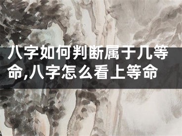 八字如何判断属于几等命,八字怎么看上等命