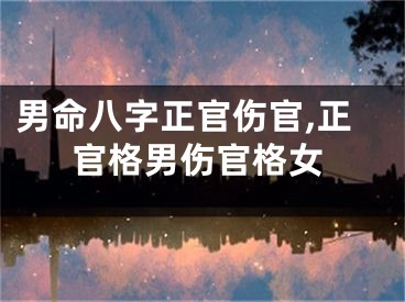 男命八字正官伤官,正官格男伤官格女