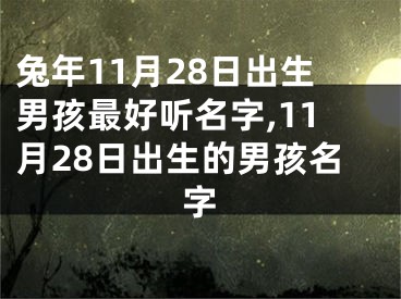 兔年11月28日出生男孩最好听名字,11月28日出生的男孩名字