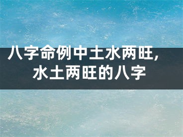 八字命例中土水两旺,水土两旺的八字