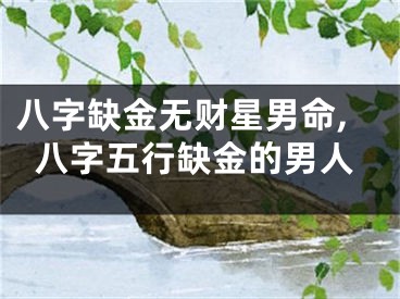 八字缺金无财星男命,八字五行缺金的男人