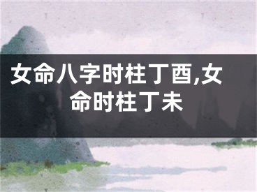 女命八字时柱丁酉,女命时柱丁未