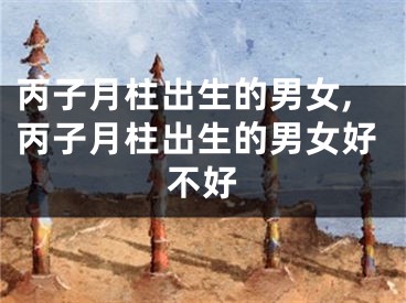 丙子月柱出生的男女,丙子月柱出生的男女好不好