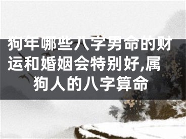 狗年哪些八字男命的财运和婚姻会特别好,属狗人的八字算命
