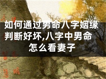 如何通过男命八字姻缘判断好坏,八字中男命怎么看妻子