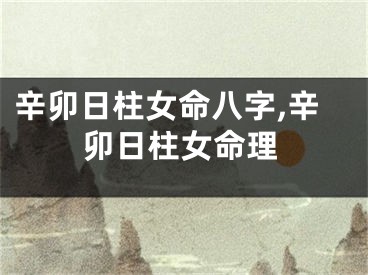 辛卯日柱女命八字,辛卯日柱女命理