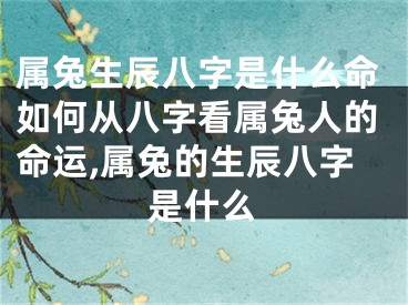 属兔生辰八字是什么命如何从八字看属兔人的命运,属兔的生辰八字是什么