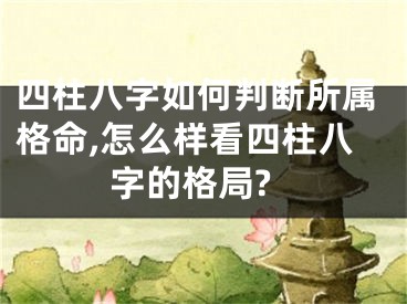 四柱八字如何判断所属格命,怎么样看四柱八字的格局?