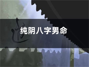 纯阴八字男命