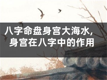 八字命盘身宫大海水,身宫在八字中的作用