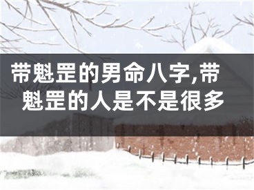 带魁罡的男命八字,带魁罡的人是不是很多