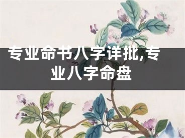 专业命书八字详批,专业八字命盘