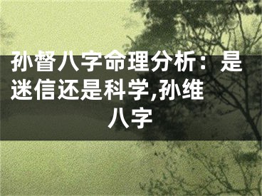 孙督八字命理分析：是迷信还是科学,孙维 八字