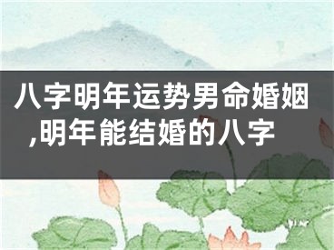 八字明年运势男命婚姻,明年能结婚的八字