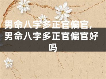 男命八字多正官偏官,男命八字多正官偏官好吗