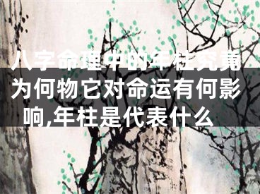 八字命理中的年柱究竟为何物它对命运有何影响,年柱是代表什么