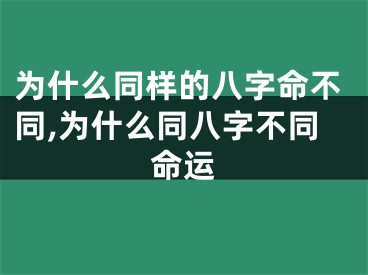 为什么同样的八字命不同,为什么同八字不同命运