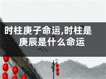 时柱庚子命运,时柱是庚辰是什么命运