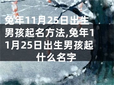 兔年11月25日出生男孩起名方法,兔年11月25日出生男孩起什么名字