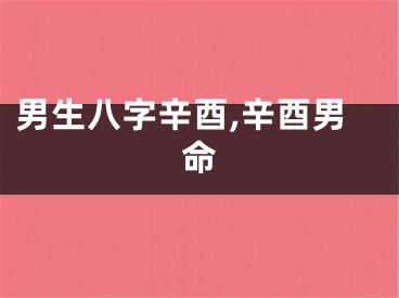 男生八字辛酉,辛酉男命