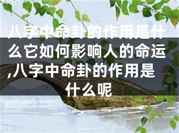 八字中命卦的作用是什么它如何影响人的命运,八字中命卦的作用是什么呢