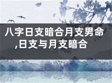 八字日支暗合月支男命,日支与月支暗合