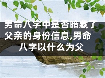 男命八字中是否暗藏了父亲的身份信息,男命八字以什么为父