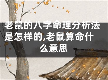老鼠的八字命理分析法是怎样的,老鼠算命什么意思