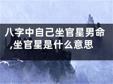 八字中自己坐官星男命,坐官星是什么意思