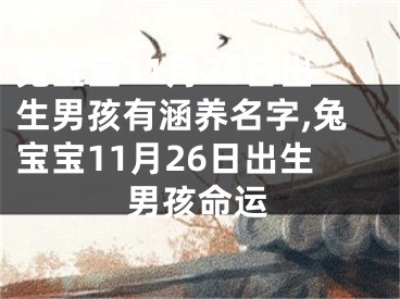 兔宝宝11月26日出生男孩有涵养名字,兔宝宝11月26日出生男孩命运