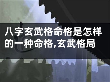 八字玄武格命格是怎样的一种命格,玄武格局