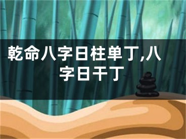 乾命八字日柱单丁,八字日干丁