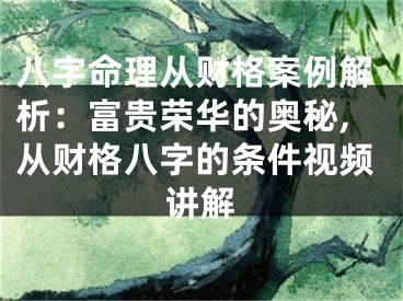八字命理从财格案例解析：富贵荣华的奥秘,从财格八字的条件视频讲解