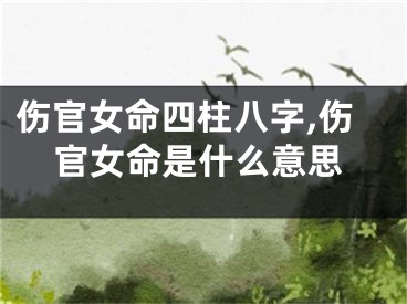 伤官女命四柱八字,伤官女命是什么意思