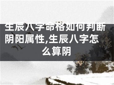 生辰八字命格如何判断阴阳属性,生辰八字怎么算阴