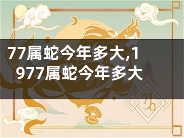 77属蛇今年多大,1977属蛇今年多大