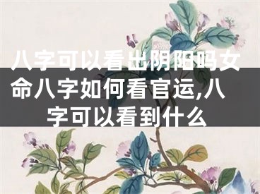 八字可以看出阴阳吗女命八字如何看官运,八字可以看到什么