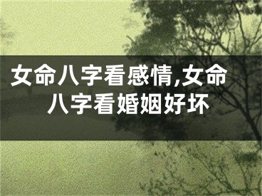 女命八字看感情,女命八字看婚姻好坏