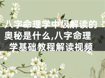 八字命理学中级解读的奥秘是什么,八字命理学基础教程解读视频