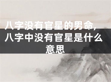 八字没有官星的男命,八字中没有官星是什么意思