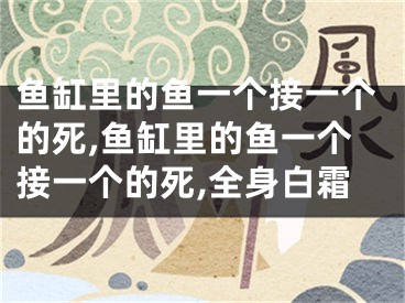 鱼缸里的鱼一个接一个的死,鱼缸里的鱼一个接一个的死,全身白霜