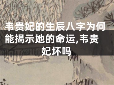 韦贵妃的生辰八字为何能揭示她的命运,韦贵妃坏吗