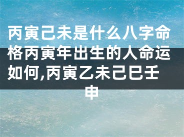 丙寅己未是什么八字命格丙寅年出生的人命运如何,丙寅乙未己巳壬申
