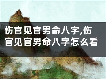 伤官见官男命八字,伤官见官男命八字怎么看