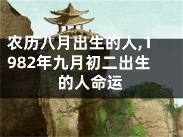 农历八月出生的人,1982年九月初二出生的人命运